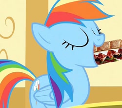 Size: 801x708 | Tagged: safe, edit, rainbow dash, pegasus, pony, food, not porn, sandwich, sandwich censorship