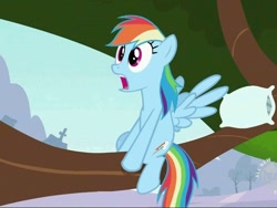 Size: 800x600 | Tagged: safe, screencap, rainbow dash, pegasus, pony, may the best pet win, female, hub logo, mare, morning wing, morning wood, solo, stick, tree