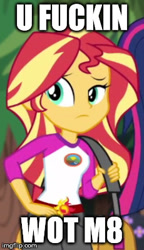 Size: 230x398 | Tagged: safe, edit, edited screencap, screencap, sci-twi, sunset shimmer, twilight sparkle, equestria girls, legend of everfree, female, offscreen character, vulgar