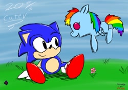 Size: 900x633 | Tagged: safe, artist:ultramiranda, rainbow dash, pegasus, pony, baby, baby pony, classic sonic, crossover, sonic the hedgehog, sonic the hedgehog (series)