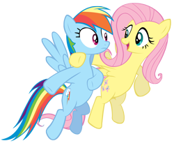 Size: 5000x4230 | Tagged: safe, artist:richhap, fluttershy, rainbow dash, pegasus, pony, absurd resolution, simple background, transparent background, vector