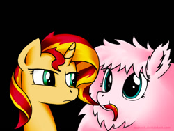 Size: 800x600 | Tagged: safe, artist:zoarvek, sunset shimmer, oc, oc:fluffle puff, pony, unicorn, :t, bacon hair, biting, black background, duo, frown, glare, nom, simple background, smiling, unamused