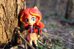 Size: 6000x4000 | Tagged: safe, artist:artofmagicpoland, sunset shimmer, equestria girls, doll, equestria girls minis, sun, sunset, sunshine shimmer, toy