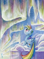 Size: 1280x1707 | Tagged: safe, artist:sararichard, idw, rainbow dash, pegasus, pony, aurora borealis, color porn, solo, traditional art