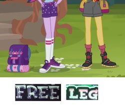 Size: 502x428 | Tagged: safe, edit, edited screencap, screencap, sci-twi, sunset shimmer, twilight sparkle, equestria girls, legend of everfree, expand dong, exploitable meme, legs, meme, pictures of legs