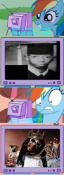 Size: 508x1398 | Tagged: safe, rainbow dash, pegasus, pony, college, exploitable meme, lil jon, meme, obligatory pony, photo, tv meme