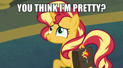 Size: 600x337 | Tagged: safe, edit, edited screencap, screencap, sunset shimmer, pony, unicorn, better together, equestria girls, forgotten friendship, bronybait, female, image macro, mare, meme, text