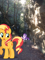 Size: 1024x1371 | Tagged: safe, artist:didgereethebrony, starlight glimmer, sunset shimmer, pony, blue mountains, cutie mark, didgeree collection, irl, megalong valley, mlp in australia, photo, ponies in real life, tree, valley, waving