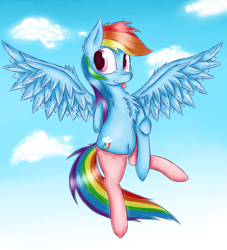 Size: 1450x1600 | Tagged: safe, artist:karczus, rainbow dash, pegasus, pony, chest fluff, clothes, socks, solo