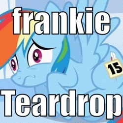 Size: 354x354 | Tagged: safe, rainbow dash, pegasus, pony, frankie teardrop, image macro, lyrics, nightmare fuel