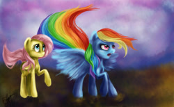 Size: 1024x630 | Tagged: safe, artist:vasilisavishnevskaya, fluttershy, rainbow dash, pegasus, pony, blue coat, female, mare, multicolored mane, pink mane, wings, yellow coat