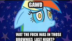 Size: 1280x720 | Tagged: safe, rainbow dash, pegasus, pony, drugs, high, image macro, meme, solo, stupidity, text, vulgar