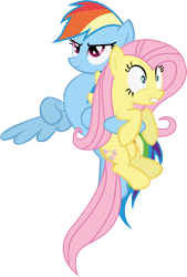 Size: 3054x4526 | Tagged: safe, artist:waranto, fluttershy, rainbow dash, pegasus, pony, absurd resolution, simple background, transparent background, vector