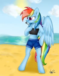 Size: 2200x2800 | Tagged: safe, artist:shyshyoctavia, rainbow dash, pegasus, pony, semi-anthro, beach, bipedal, clothes, female, mare, sand, shorts, signature, solo, whistle