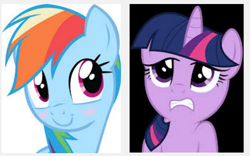 Size: 500x311 | Tagged: safe, rainbow dash, twilight sparkle, pegasus, pony, unicorn, blushing, bust, female, mare