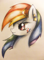 Size: 966x1316 | Tagged: safe, artist:golden-fly, rainbow dash, pegasus, pony, female, mare, simple background, solo