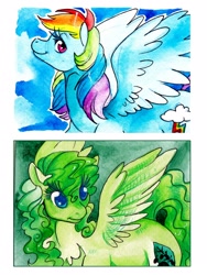 Size: 1200x1600 | Tagged: safe, artist:aspendragon, rainbow dash, oc, oc:azami rose, pegasus, pony, traditional art