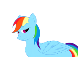 Size: 3300x2400 | Tagged: safe, artist:eccentric bloodstone, rainbow dash, pegasus, pony, blue coat, female, mare, multicolored mane, simple background, solo, white background, wings