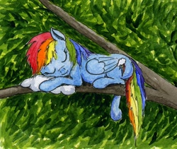 Size: 674x569 | Tagged: safe, artist:el-yeguero, rainbow dash, pegasus, pony, cute, nap, sleeping, solo