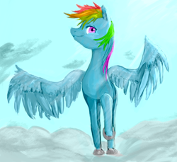 Size: 3686x3379 | Tagged: safe, artist:rixnane, rainbow dash, pegasus, pony, female, mare, simple background, solo