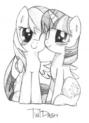 Size: 1249x1728 | Tagged: safe, artist:awengrocks, rainbow dash, twilight sparkle, pegasus, pony, female, lesbian, monochrome, shipping, twidash