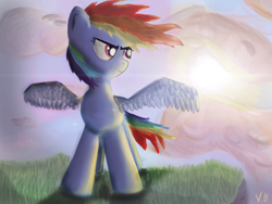 Size: 2000x1500 | Tagged: safe, artist:vovab, rainbow dash, pegasus, pony, detailed background, female, mare, solo