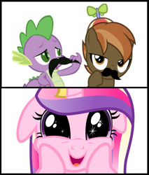 Size: 1548x1816 | Tagged: safe, button mash, princess cadance, spike, alicorn, dragon, pony, female, infidelity, male, shipping, spikedance, straight