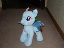 Size: 2560x1920 | Tagged: safe, rainbow dash, build-a-bear, build-a-bear workshop, irl, photo, plushie, solo