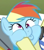 Size: 210x236 | Tagged: safe, screencap, rainbow dash, pegasus, pony, the super speedy cider squeezy 6000, dashface, faic