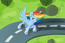 Size: 3000x2000 | Tagged: safe, artist:xonxt, rainbow dash, pegasus, pony, drifting, race track, solo