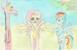 Size: 1024x674 | Tagged: safe, discord, fluttershy, rainbow dash, pegasus, pony, angry, shipping, shocked, traditional art, watercolor painting