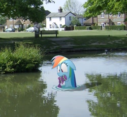 Size: 855x789 | Tagged: safe, artist:kuren247, rainbow dash, fish, irl, photo, pond, ponies in real life, solo, water