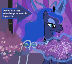 Size: 648x576 | Tagged: safe, edit, edited screencap, part of a set, screencap, princess luna, alicorn, pony, a royal problem, arrow, captain obvious, cropped, crown, cute, lavender, lunabetes, magic, magic aura, text