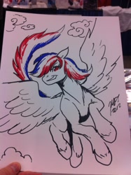 Size: 717x960 | Tagged: safe, artist:kaijusamurai, rainbow dash, pegasus, pony, matt frank, sketch, traditional art