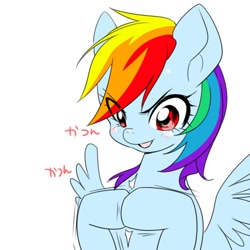 Size: 500x500 | Tagged: safe, artist:naoki, rainbow dash, pegasus, pony, japanese, pixiv, solo