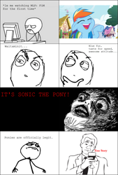 Size: 651x961 | Tagged: safe, rainbow dash, pegasus, pony, comic, crossover, le, meme, rage comic, sonic the hedgehog (series)