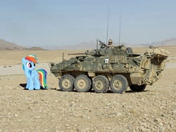 Size: 800x600 | Tagged: safe, artist:cplhenderson, rainbow dash, human, afghan civil war, afghanistan, canadian, desert, infantry fighting vehicle, irl, lav, looking back, military, open mouth, patrol, photo, ponies in real life, royal canadian regiment, sky, standing, stare, surprised, war