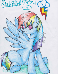 Size: 849x1072 | Tagged: safe, artist:paint-splatters, rainbow dash, pegasus, pony, blue coat, female, mare, multicolored mane, simple background, solo, white background, wings