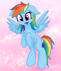 Size: 900x1056 | Tagged: safe, artist:shentes, rainbow dash, pegasus, pony, palindrome get, pink background, pink cloud, simple background, solo