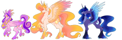 Size: 3000x1000 | Tagged: safe, artist:animatorfun, princess cadance, princess celestia, princess luna, alicorn, pony, colored wings, lidded eyes, line-up, multicolored wings, redesign, simple background, smiling, tail feathers, transparent background, unshorn fetlocks, wings