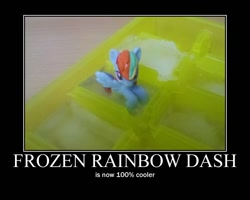 Size: 750x600 | Tagged: safe, rainbow dash, blind bag, cold, cooler, frozen, ice, irl, motivational poster, motivator, photo, pun, toy