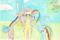 Size: 1024x677 | Tagged: safe, discord, fluttershy, rainbow dash, pegasus, pony, shipping, traditional art, watercolor painting