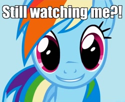 Size: 1326x1080 | Tagged: safe, rainbow dash, pegasus, pony, bronybait, caption, eyes, grin, image macro, solo, soul stare, stare, talking to viewer