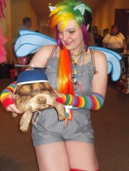 Size: 1536x2048 | Tagged: safe, artist:drowninginrice, rainbow dash, tank, human, animal, convention, cosplay, irl, irl human, irl tortoise, marucon, photo