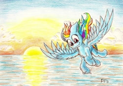 Size: 1444x1007 | Tagged: safe, artist:punk-pegasus, rainbow dash, pegasus, pony, ocean, solo, sunset, traditional art