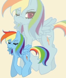 Size: 368x435 | Tagged: safe, artist:anakichi, rainbow dash, pegasus, pony, female, mare, simple background, solo