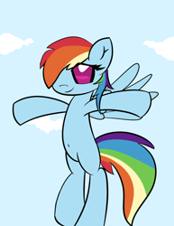 Size: 600x776 | Tagged: safe, artist:ptepix, rainbow dash, pegasus, pony, belly button, blue coat, female, mare, multicolored mane, solo