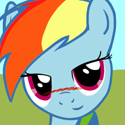 Size: 780x780 | Tagged: safe, artist:idkwtsit2u, rainbow dash, pegasus, pony, bedroom eyes, blushing, close-up, looking at you, solo, stupid sexy rainbow dash, trace