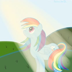 Size: 2304x2304 | Tagged: safe, artist:salvador-dl, rainbow dash, pegasus, pony, blue coat, crepuscular rays, female, mare, multicolored mane, solo