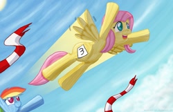 Size: 1236x800 | Tagged: safe, artist:ladyanidraws, fluttershy, rainbow dash, pegasus, pony, crying, racing, tears of joy